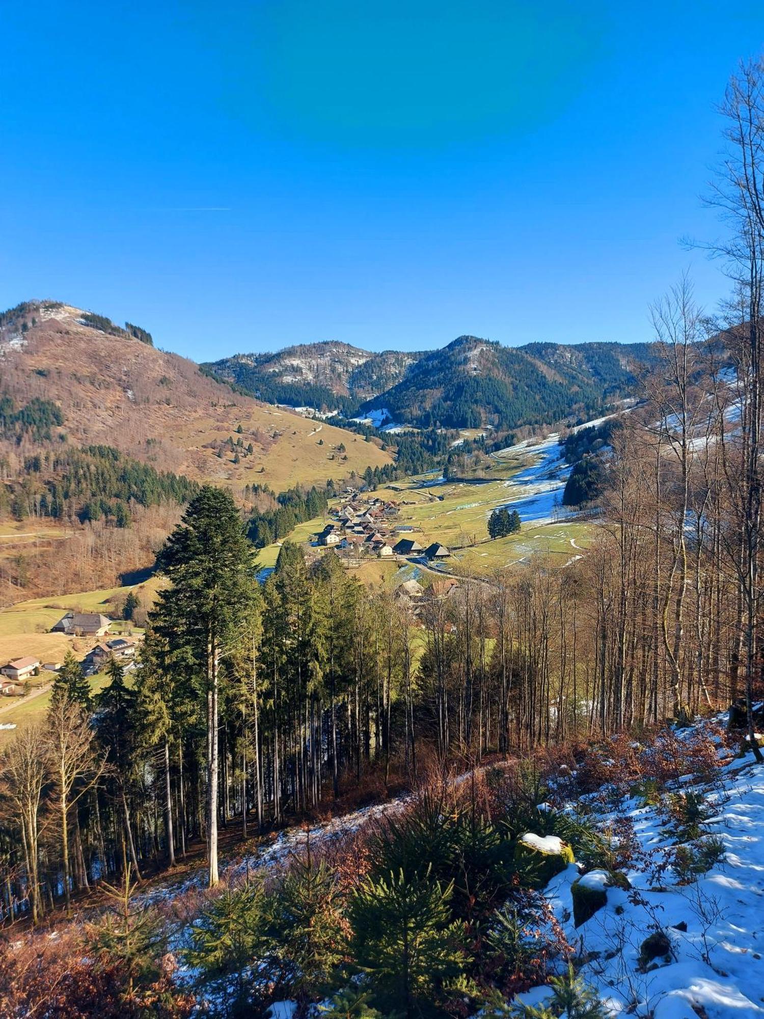 Ferienwohnungen Haus Hees Тодтнау Екстер'єр фото