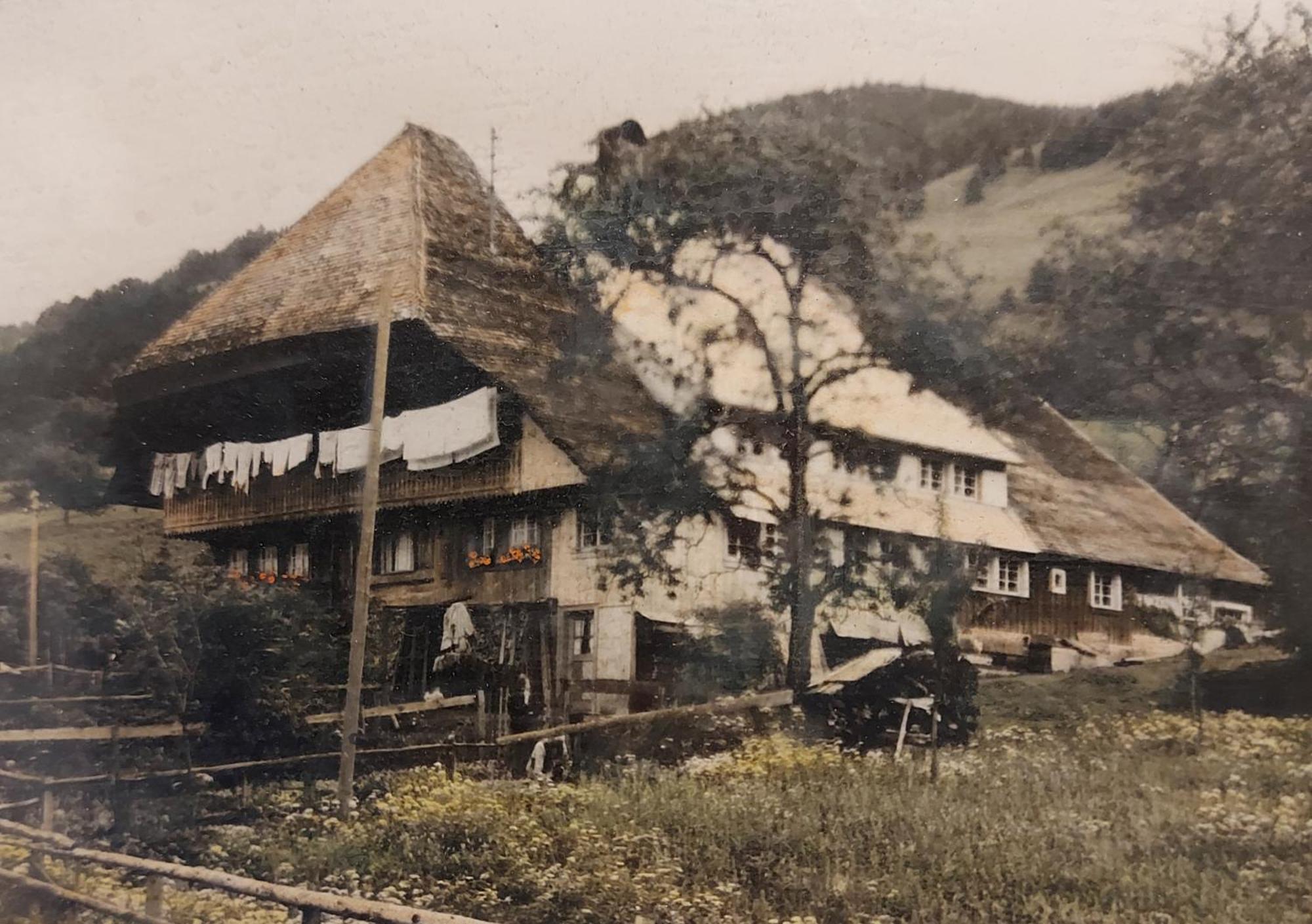 Ferienwohnungen Haus Hees Тодтнау Екстер'єр фото