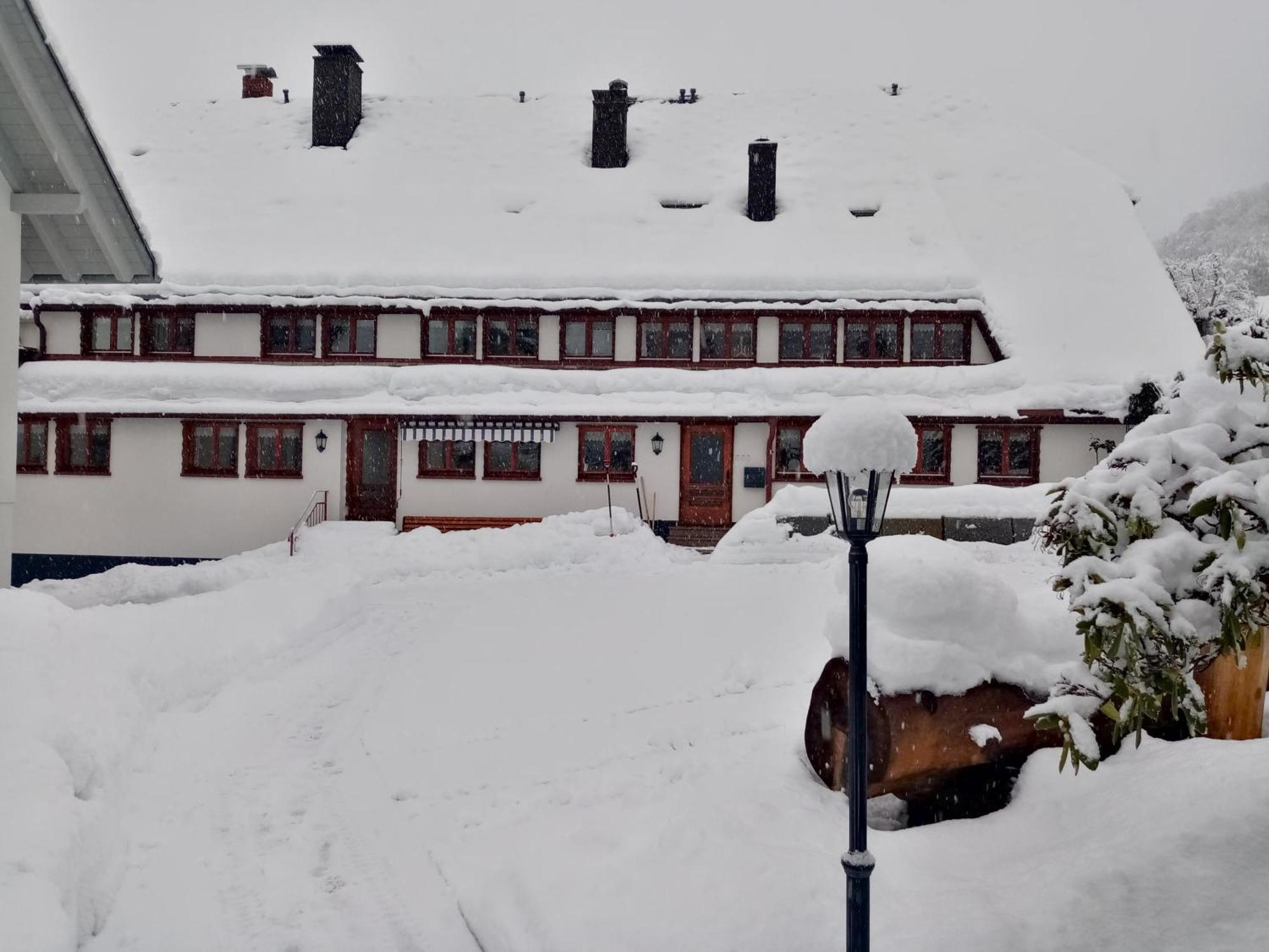 Ferienwohnungen Haus Hees Тодтнау Екстер'єр фото