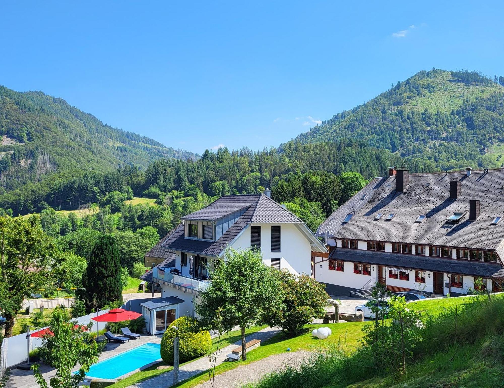 Ferienwohnungen Haus Hees Тодтнау Екстер'єр фото